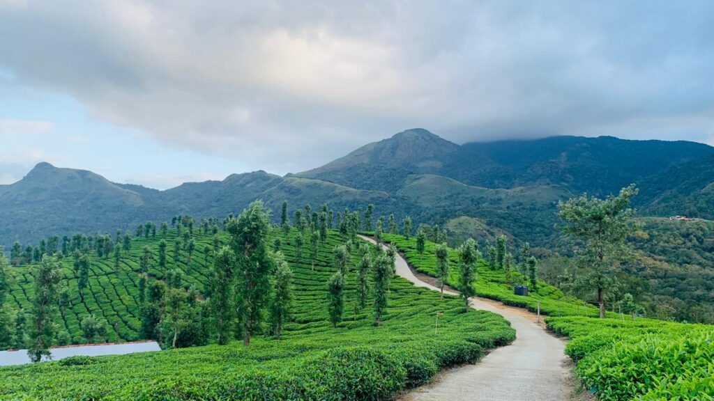 Tourist places in wayanad 2024