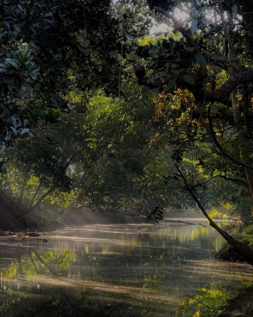 Places Visit In Wayanad