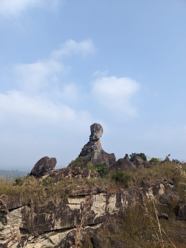 Best Tourist Places in wayanad